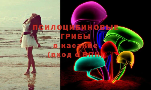герыч Алексин