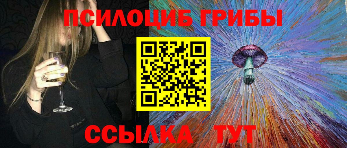 Галлюциногенные грибы Psilocybine cubensis  Вход с VPN  Полысаево 